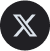 x icon